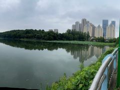 -月湖风景区
