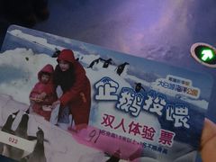 -芜湖新华联大白鲸海洋公园
