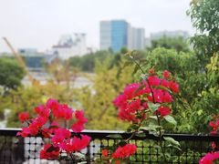 -智慧湾科创园
