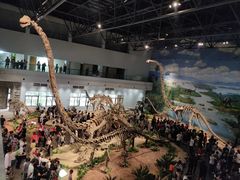 -自贡恐龙博物馆