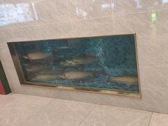 -粤顺渔坊·中山脆肉鲩火锅(清湖店)