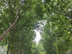 -西安电影制片厂