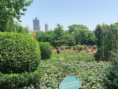 -睦南公园