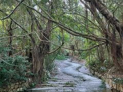 -燕晗山郊野公园