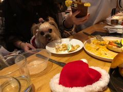 -the rug 飞毯 (朝阳公园店)