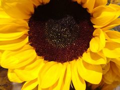 -凯德广场(西城店)