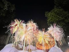 -武汉园博园(武汉自然博物馆)