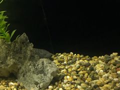 -暹罗海洋世界