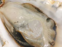 -南山酒肆(南山董事绘店)