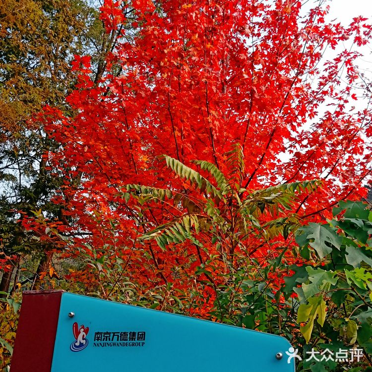大连森林动物园