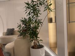 -守田肩颈·推拿SPA(颐豪旗舰店)