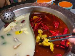 -麻田会 ·鲜活现烹·牛蛙火锅(珠江新城维家思广场店)