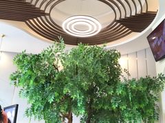 -CoCo都可(中联广场店)