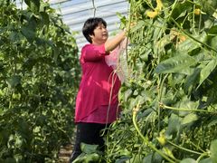 -庞各庄翠芳园西瓜蔬菜基地采摘园