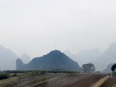 -明仕田园