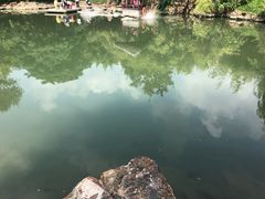 -水绘园