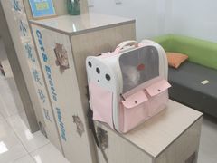 -北京观赏动物医院·24小时大型综合·猫专科·异宠专科