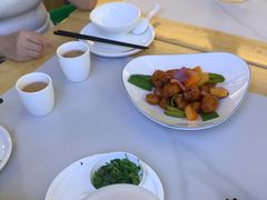 -鸽小宝(深圳首店)
