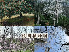 -杭州植物园