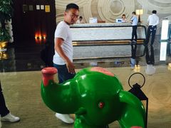 -西双版纳融创皇冠假日度假酒店