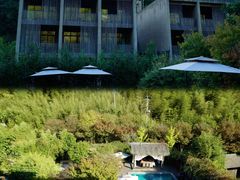 -看见远方·莫干遥远的山民宿