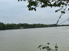 -杏花村文化旅游区