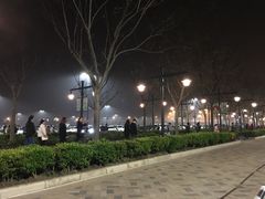 -迪士尼乐园停车场