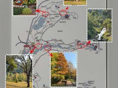 -云溪植物园