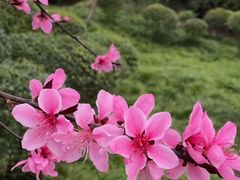 -重庆彩云湖湿地公园