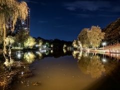 -天鹅湖体育公园