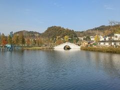 -千年银杏谷文化旅游区