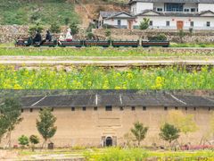 -福建土楼（华安）旅游区•大地土楼群
