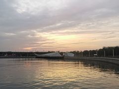 -宝安西湾红树林湿地公园