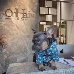 -OnHair Salon