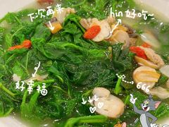 -姚林轩