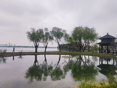 -渤公岛生态公园