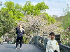 -印象西湖·最忆是杭州实景演出