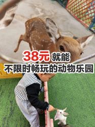 -萌宠亲子动物乐园(槐房万达店)