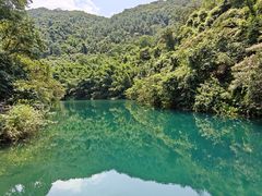 -西江河鲜·趣苑酒楼(鼎湖牌坊店)