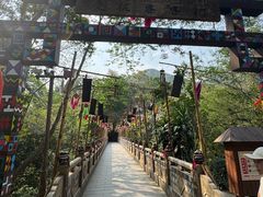 -西双版纳原始森林公园