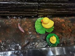 -新盈光·心院(嘉恒广场店)