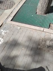 -紫洁俪方（北京）医疗美容