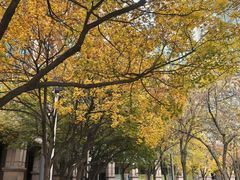 -广信牛奶甜品世家(万象城店)