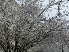 -陈记麻辣烫(浦口道店)