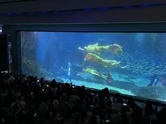 -海合安成都极地海洋公园