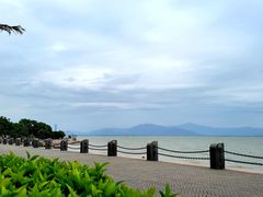 -深圳湾公园(南山区)