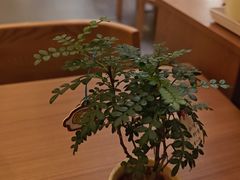 -CURRY YA 熟成咖哩專門店(深圳湾万象城店)