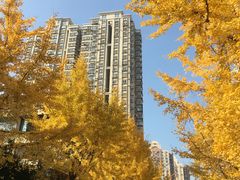 -阿婆油墩子(五里桥路188弄小区店)