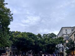 -星巴克臻选(广州沙面店)