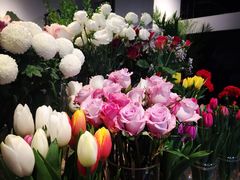 -植物学家的女儿(北马道巷店)